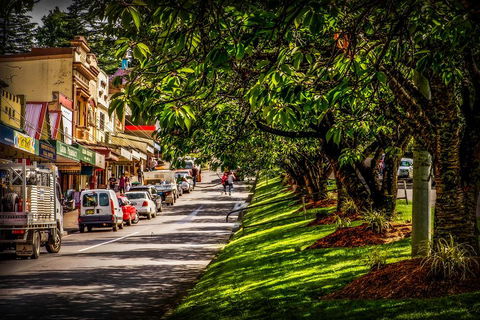 Fully Inclusive Blue Mountains Private Tour Inc Scenic World & Featherdale Entry - Food Delivery Shop 0