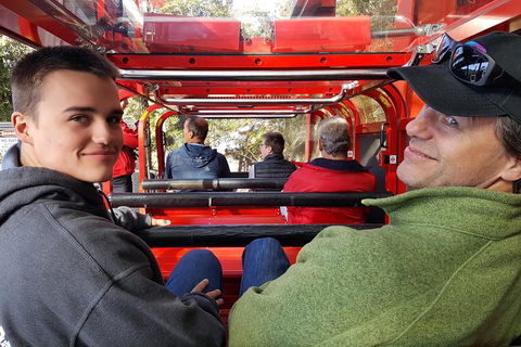 Fully Inclusive Blue Mountains Private Tour Inc Scenic World & Featherdale Entry - Food Delivery Shop 1