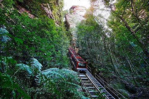 Fully Inclusive Blue Mountains Private Tour Inc Scenic World & Featherdale Entry - Food Delivery Shop 4