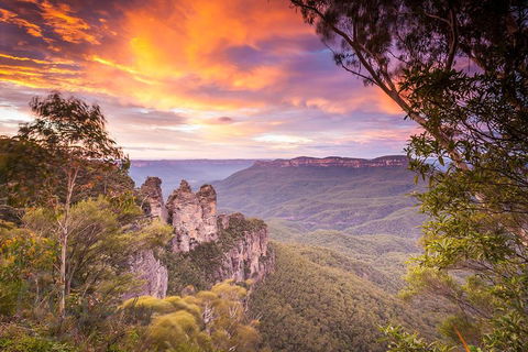 Fully Inclusive Blue Mountains Private Tour Inc Scenic World & Featherdale Entry - Food Delivery Shop 5