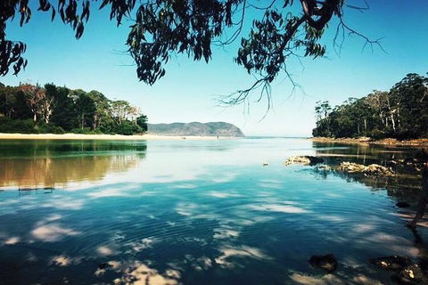Full-Day Guided Bruny Island Tour From Hobart - Food Delivery Shop 1