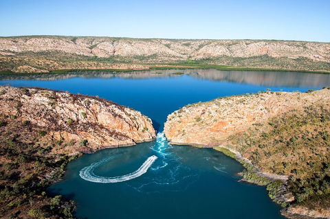 Buccaneer Explorer - Food Delivery Shop 4