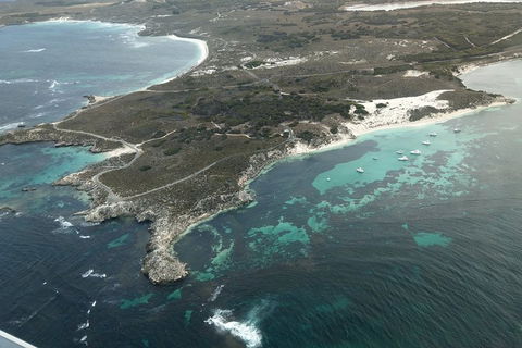 Full Day Tour By Seaplane To Rottnest Island Small Group Trip - Pet Food Australia 5