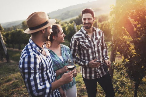 Full Day Mount Tamborine Winery Tour From Gold Coast - Food Delivery Shop 5
