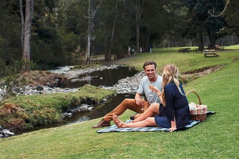 Mt Tamborine - Hinterland Wonders Self Guided - Pet Food Australia 0