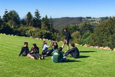 Mt Tamborine - Hinterland Wonders Self Guided - Pet Food Australia 1