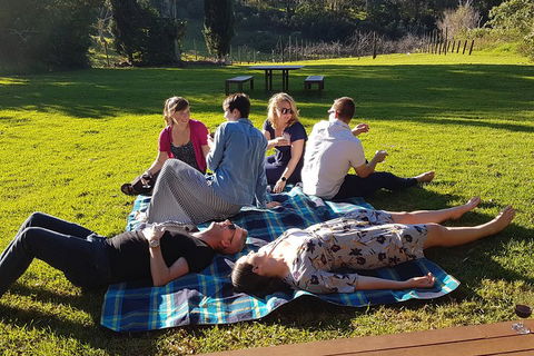 Mt Tamborine - Hinterland Wonders Self Guided - Pet Food Australia 2