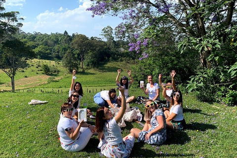 Mt Tamborine - Hinterland Wonders Self Guided - Pet Food Australia 5