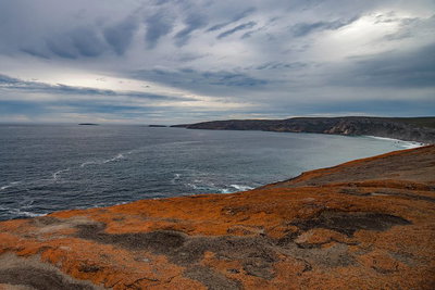 Kangaroo Island Luxury Small Group 'Flinders Chase Focus' Full Day Tour