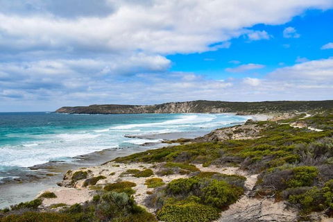 Kangaroo Island Luxury Small Group 'East End Explorer' Full Day Tour - Food Delivery Shop 0