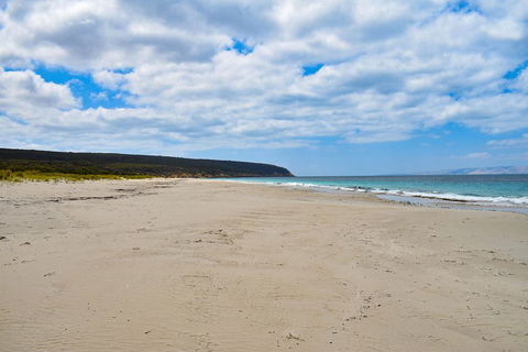 Kangaroo Island Luxury Small Group 'East End Explorer' Full Day Tour - Food Delivery Shop 3