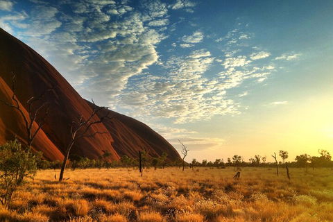 Highlights Of Uluru Including Sunrise And Breakfast - Food Delivery Shop 0