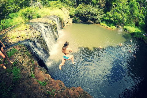 Byron Surrounds: Nimbin Waterfall Adventure - Swimming Tour - Pet Food Australia 3