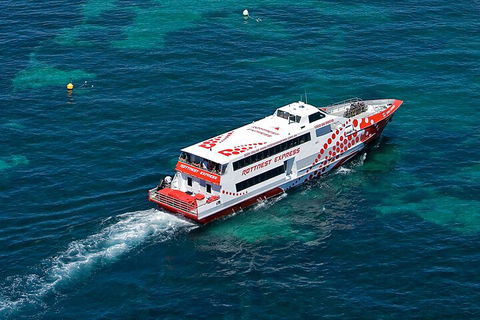 Discover Rottnest With Ferry & Bus Tour From Perth Or Fremantle - Food Delivery Shop 3