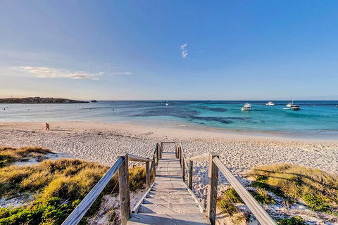 Discover Rottnest With Ferry & Bus Tour From Perth Or Fremantle - Food Delivery Shop 4