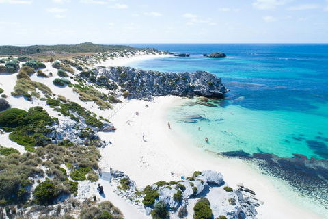 Discover Rottnest With Ferry & Bus Tour From Perth Or Fremantle - Food Delivery Shop 5