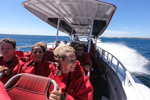 Adventure Rottnest Tour With Ferry & Adventure Cruise From Perth Or Fremantle - Food Delivery Shop 0