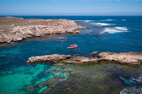 Adventure Rottnest Tour With Ferry & Adventure Cruise From Perth Or Fremantle - Food Delivery Shop 3