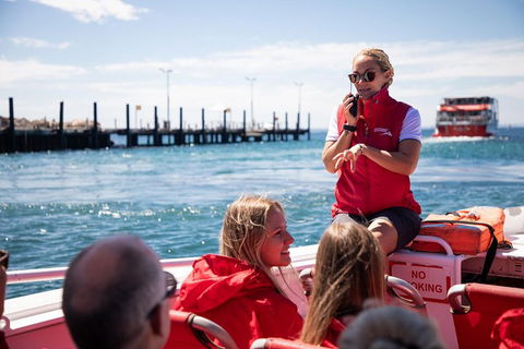 Adventure Rottnest Tour With Ferry & Adventure Cruise From Perth Or Fremantle - Food Delivery Shop 4