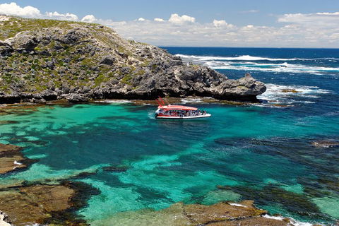 Adventure Rottnest Tour With Ferry & Adventure Cruise From Perth Or Fremantle - Food Delivery Shop 5