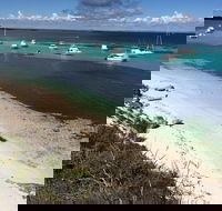 Experience Rottnest with Ferry  Bike Hire from Perth or Fremantle - Pet Food Australia