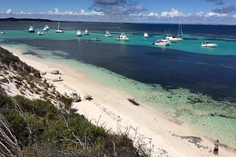 Experience Rottnest With Ferry & Bike Hire From Perth Or Fremantle - Food Delivery Shop 0