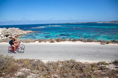 Experience Rottnest With Ferry & Bike Hire From Perth Or Fremantle - Food Delivery Shop 2