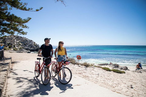 Experience Rottnest With Ferry & Bike Hire From Perth Or Fremantle - Food Delivery Shop 4