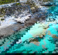 Rottnest Island Round-Trip Ferry from Perth or Fremantle - Pet Food Australia