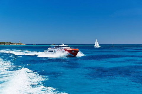 Rottnest Island Round-Trip Ferry From Perth Or Fremantle - Food Delivery Shop 4