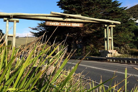 2-Day Great Ocean Road, Mornington Peninsula And Phillip Island Tour - Food Delivery Shop 4