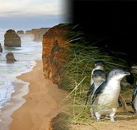 Melbourne Super Saver Great Ocean Road  Phillip Island  Attraction Pass - Food Delivery Shop