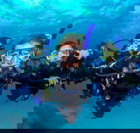 Great Barrier Reef Diving and Snorkeling Cruise from Cairns - Food Delivery Shop