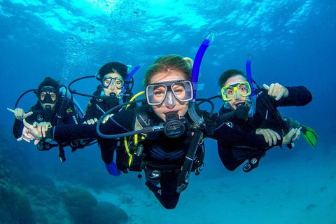 Great Barrier Reef Diving And Snorkeling Cruise From Cairns - Food Delivery Shop 0