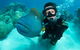 Great Barrier Reef Diving And Snorkeling Cruise From Cairns - thumb 2