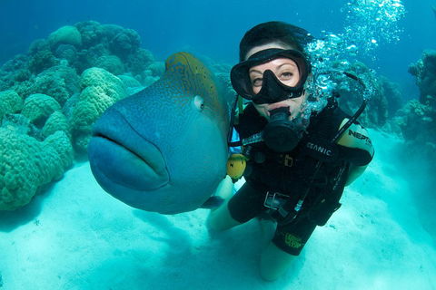 Great Barrier Reef Diving And Snorkeling Cruise From Cairns - Food Delivery Shop 2