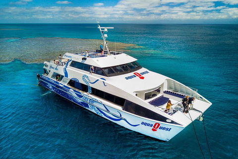 Great Barrier Reef Diving And Snorkeling Cruise From Cairns - Food Delivery Shop 5