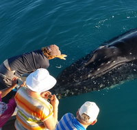 AOC Whale Watching from Broome - Food Delivery Shop
