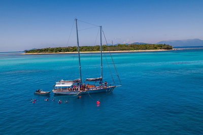 Ocean Free Green Island  Great Barrier Reef Snorkel Cruise Cairns 25 guests