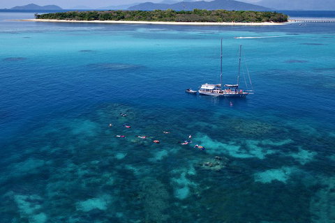 Ocean Free Green Island & Great Barrier Reef Snorkel Cruise, Cairns 25 Guests - Pet Food Australia 2