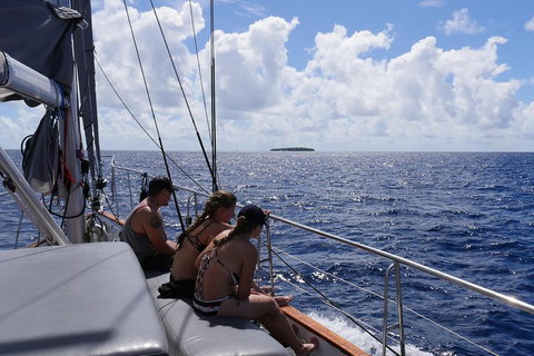 Ocean Free Green Island & Great Barrier Reef Snorkel Cruise, Cairns 25 Guests - Pet Food Australia 4