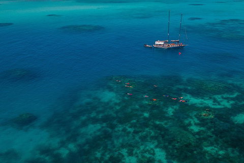 Ocean Free Green Island & Great Barrier Reef Snorkel Cruise, Cairns 25 Guests - Pet Food Australia 5