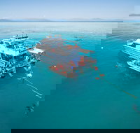 Ocean Freedom Great Barrier Reef Personal Luxury Snorkel  Dive Cruise Cairns - Food Delivery Shop