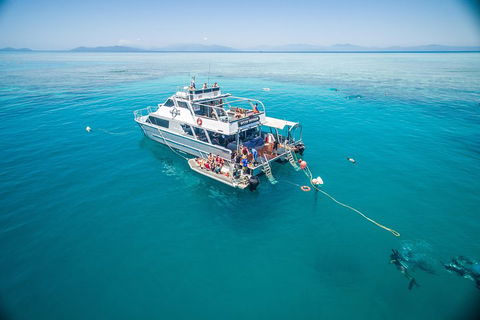 Ocean Freedom Great Barrier Reef Personal Luxury Snorkel & Dive Cruise, Cairns - Food Delivery Shop 0