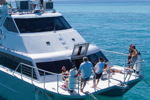 Ocean Freedom Great Barrier Reef Personal Luxury Snorkel & Dive Cruise, Cairns - Food Delivery Shop 1