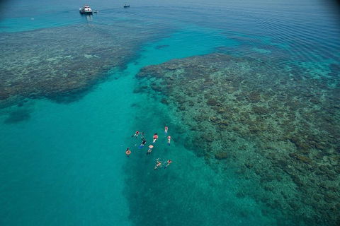 Ocean Freedom Great Barrier Reef Personal Luxury Snorkel & Dive Cruise, Cairns - Food Delivery Shop 3