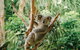 Full-Day Small-Group History And Heritage Tour Of Brisbane City - thumb 2