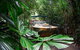 Classic Kuranda By Skyrail And Scenic Railway Including Rainforestation, Koala And Wildlife Park And Pamagirri Aboriginal Experi - thumb 4