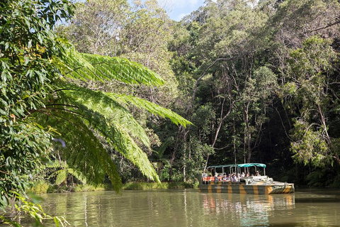 Best Of Kuranda Including Skyrail, Kuranda Scenic Railway And Rainforestation - Food Delivery Shop 5