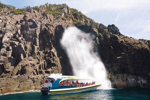 Full-Day Bruny Island Cruises Day Tour From Hobart - Pet Food Australia 4